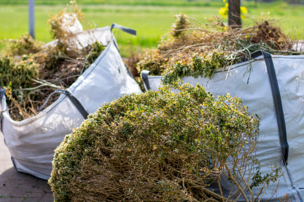 Best Hoarding Cleanup  in Lake Ketchum, WA